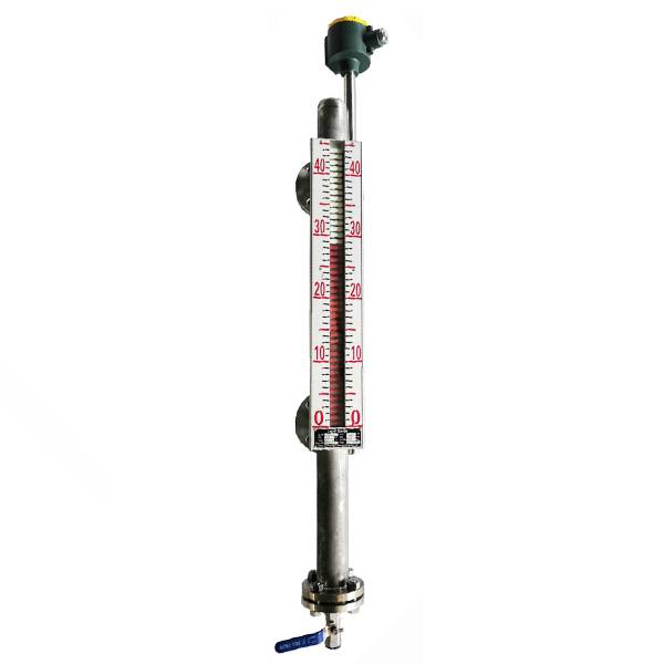 Side-mounted magnetic level gauge with switches
